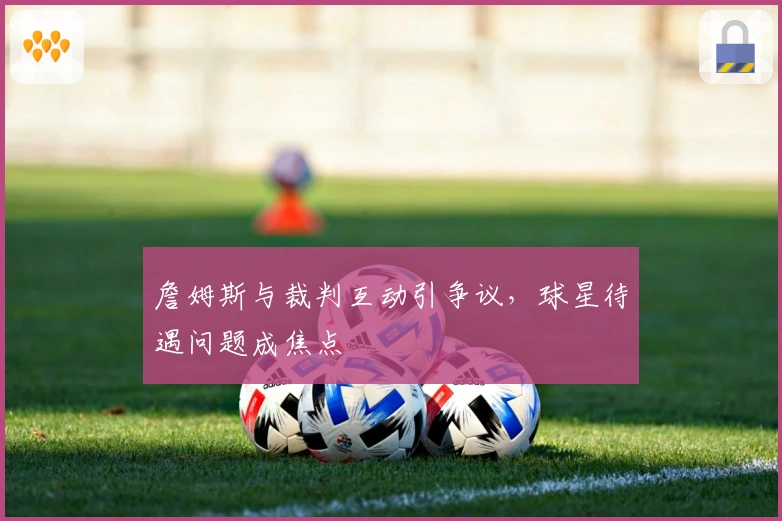 詹姆斯与裁判互动引争议，球星待遇问题成焦点