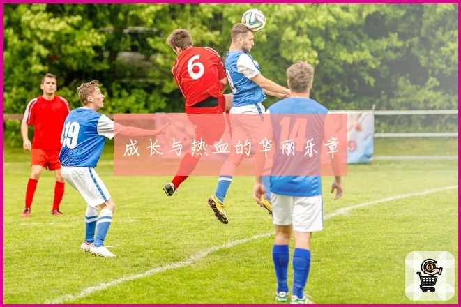 成长与热血的华丽乐章